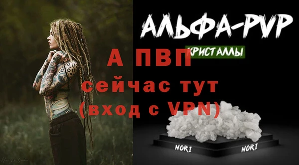 твердый Белокуриха