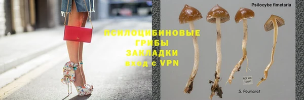 твердый Белокуриха