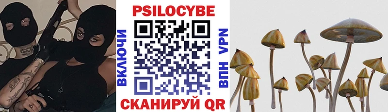 Галлюциногенные грибы мицелий  Сковородино 